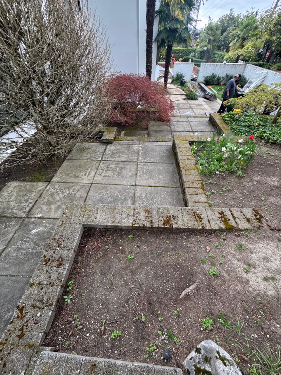 Concrete walkway cleaning in Pierce County WA — before