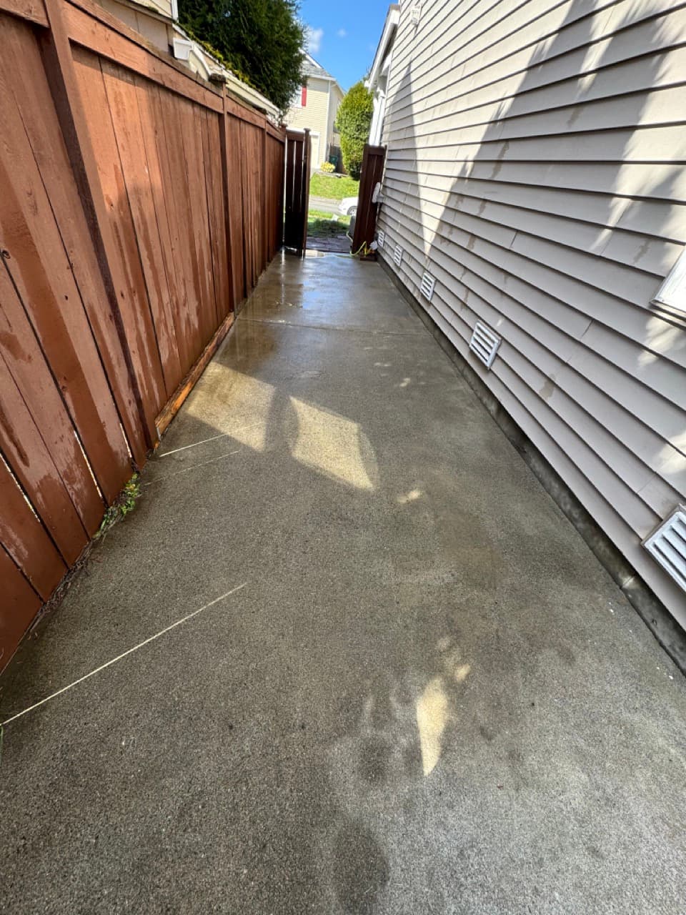 Driveway & Concrete — Before - Cement sidewalk cleaning in King County WA — after