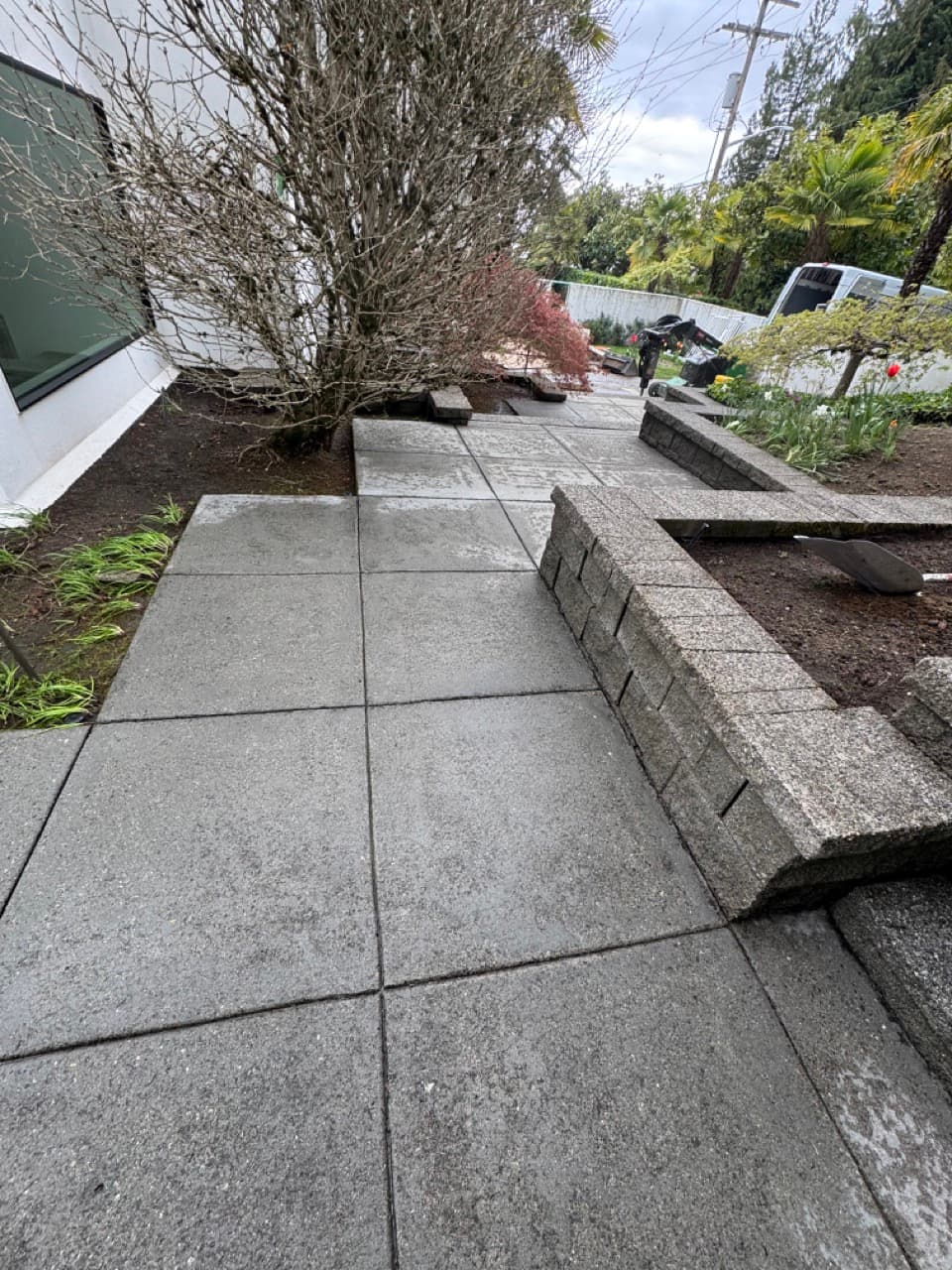 Driveway & Concrete — Before - Concrete walkway cleaning in King County WA — after