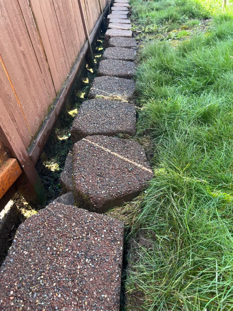 Stone Wall & Pavers — Before - Stone moss removal in King County WA — after