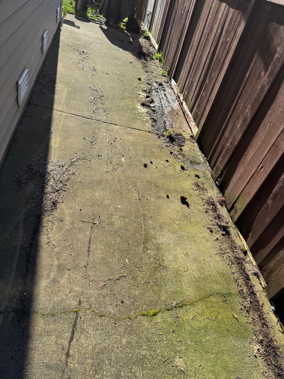 Driveway & Concrete — Before - Cement sidewalk cleaning in King County WA — before