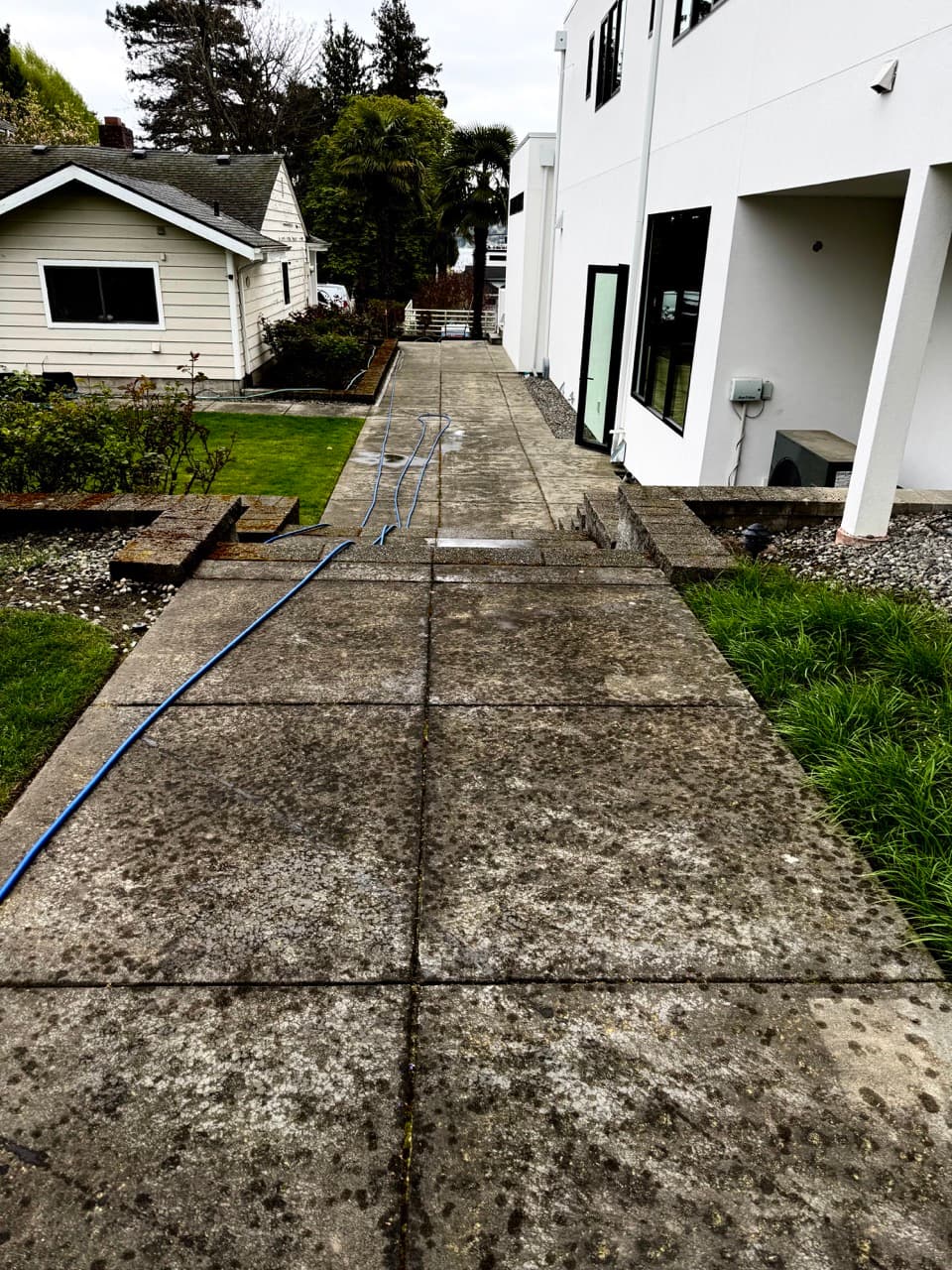 Driveway & Concrete — Before - Concrete walkway cleaning in King County WA — before