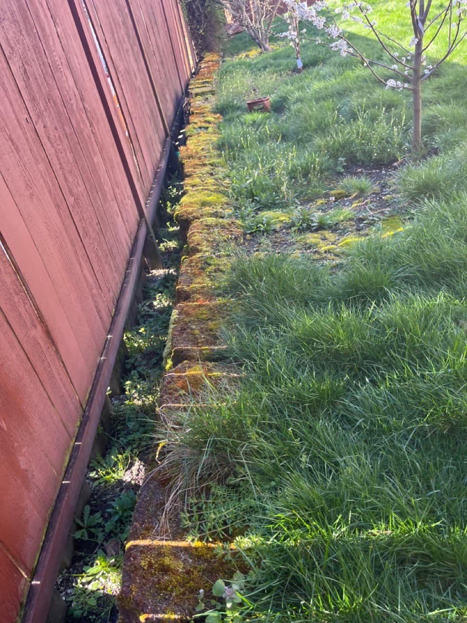 Stone Wall & Pavers — Before - Stone moss removal in King County WA — before