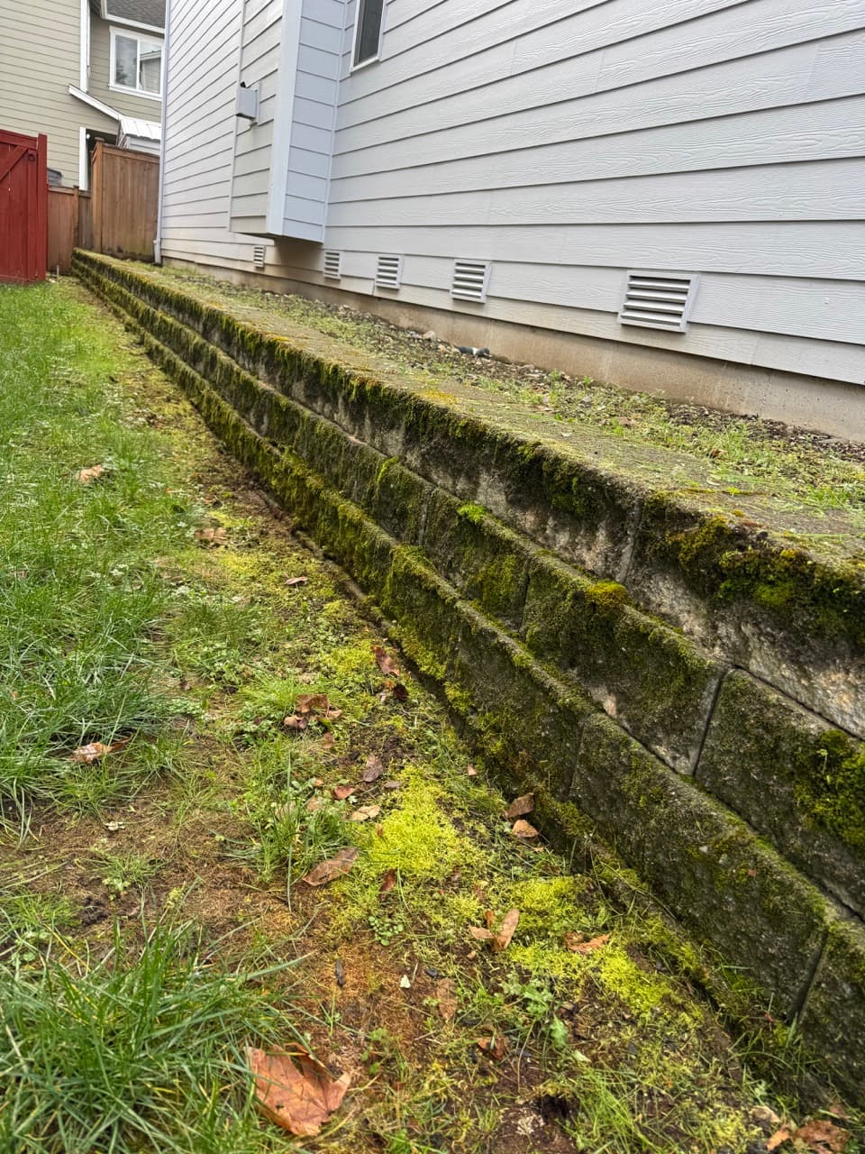 Stone Wall & Pavers — Before - Stone wall cleaning in King County WA — before