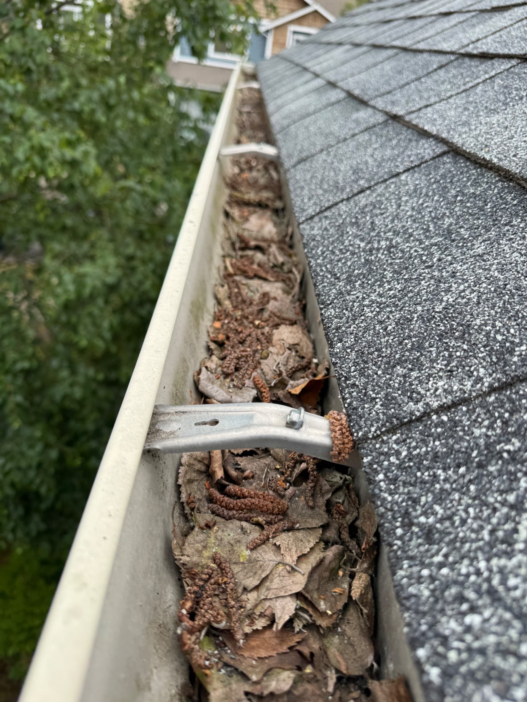 Before - Gutter Cleaning & Debris Removal