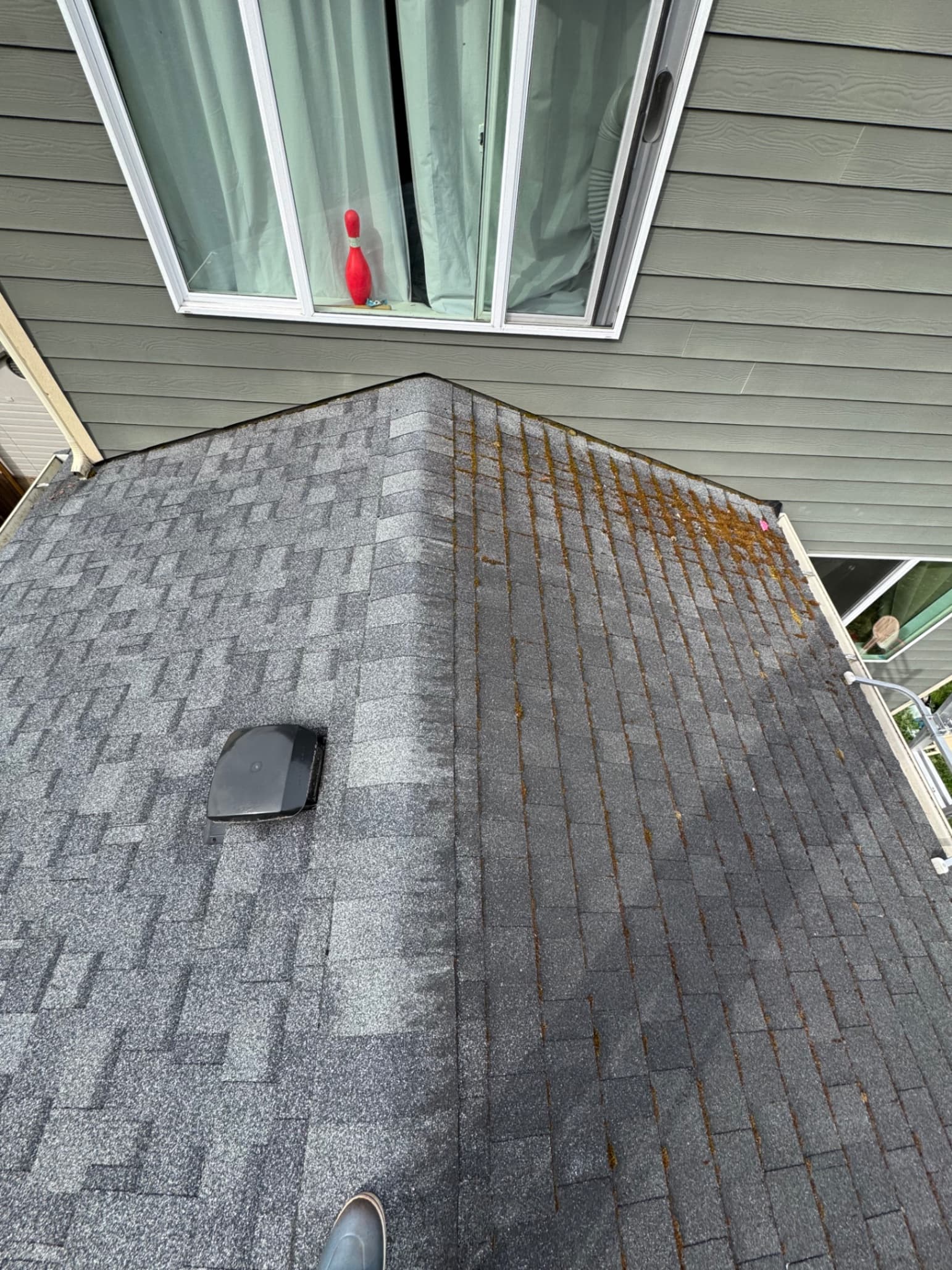 Roof Moss Treatment — Before - Roof Moss Treatment in King County WA — before