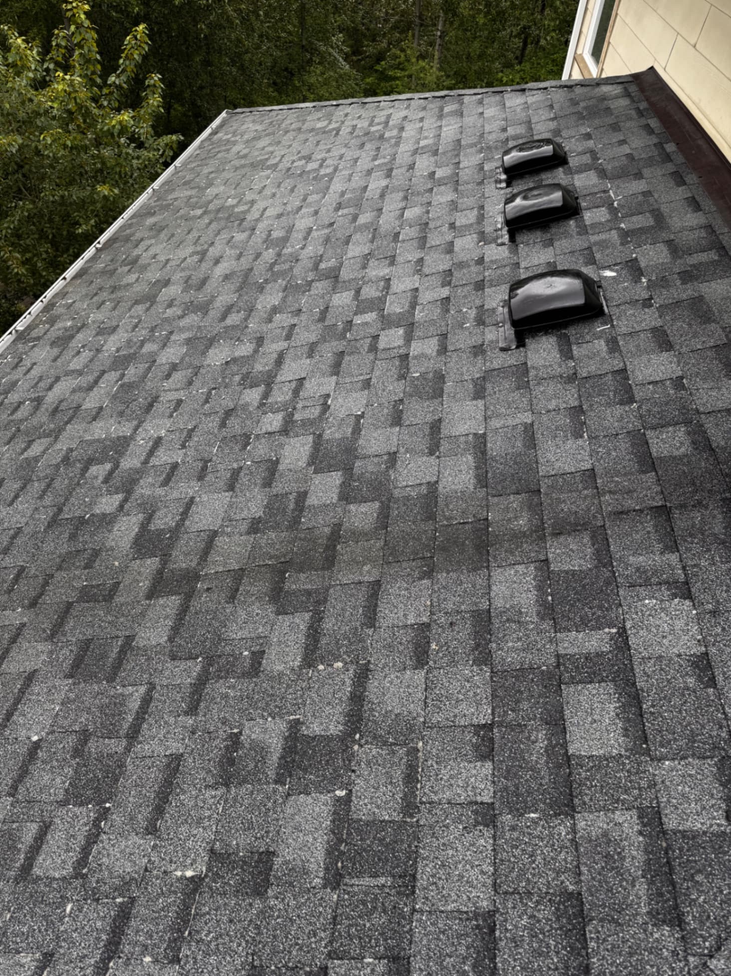 Roof Moss Treatment — Before - Roof Moss Treatment in King County WA — after