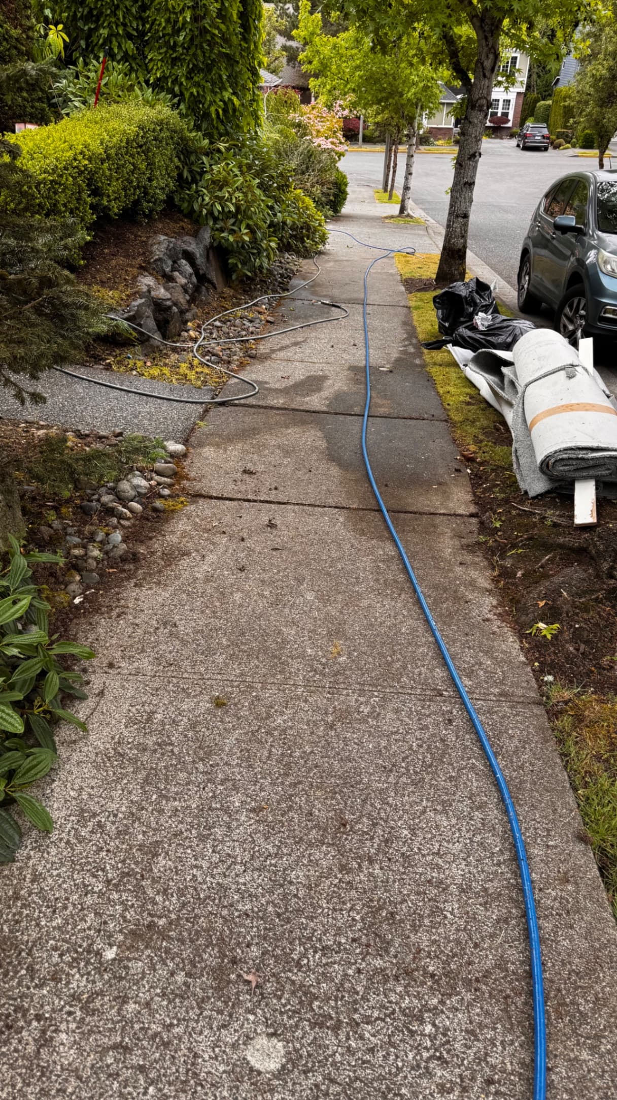 Driveway & Concrete — Before - Driveway & Concrete in King County WA — before