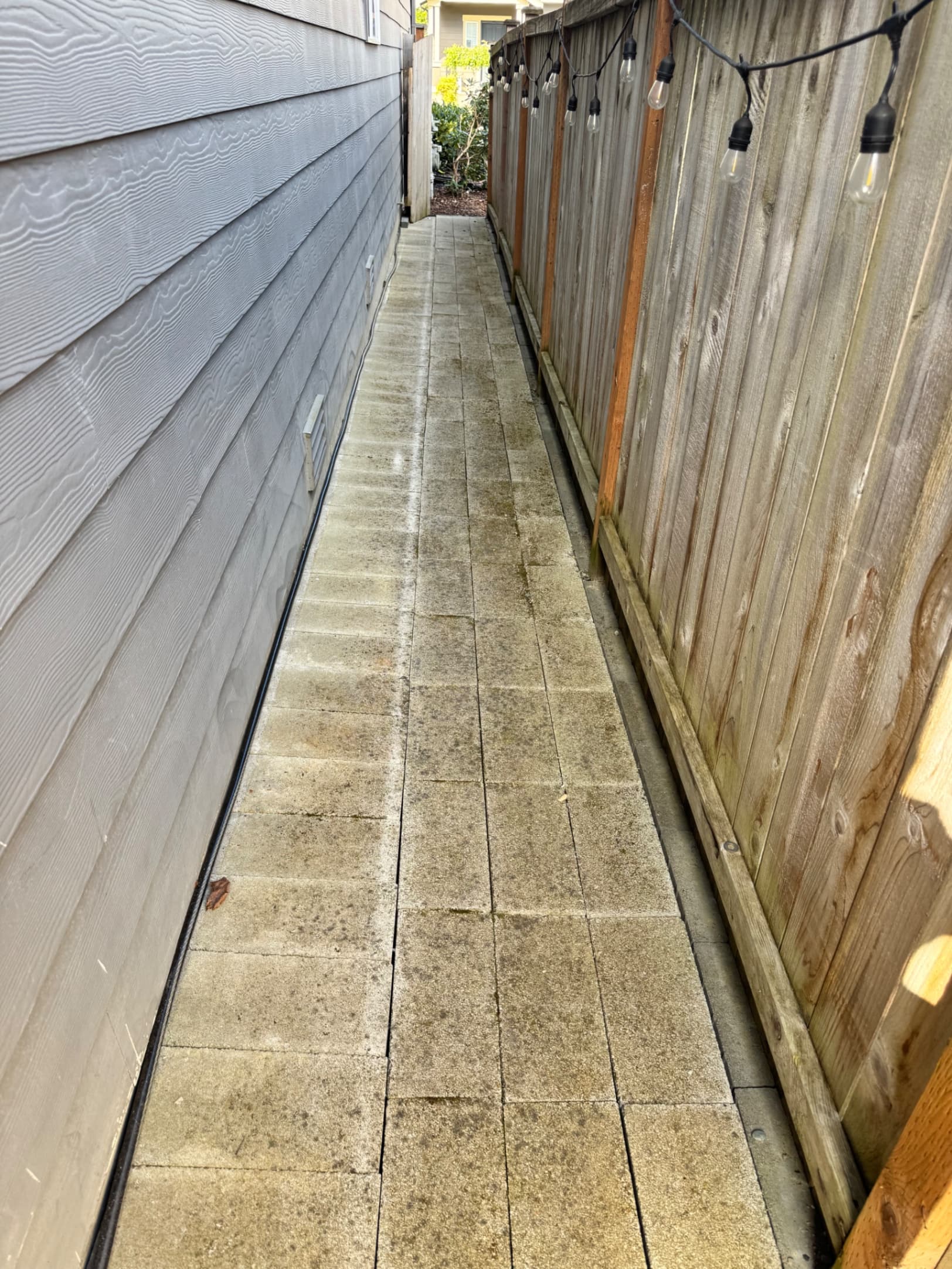 Stone Wall & Paver Cleaning — Before - Stone Wall & Paver Cleaning in King County WA — before
