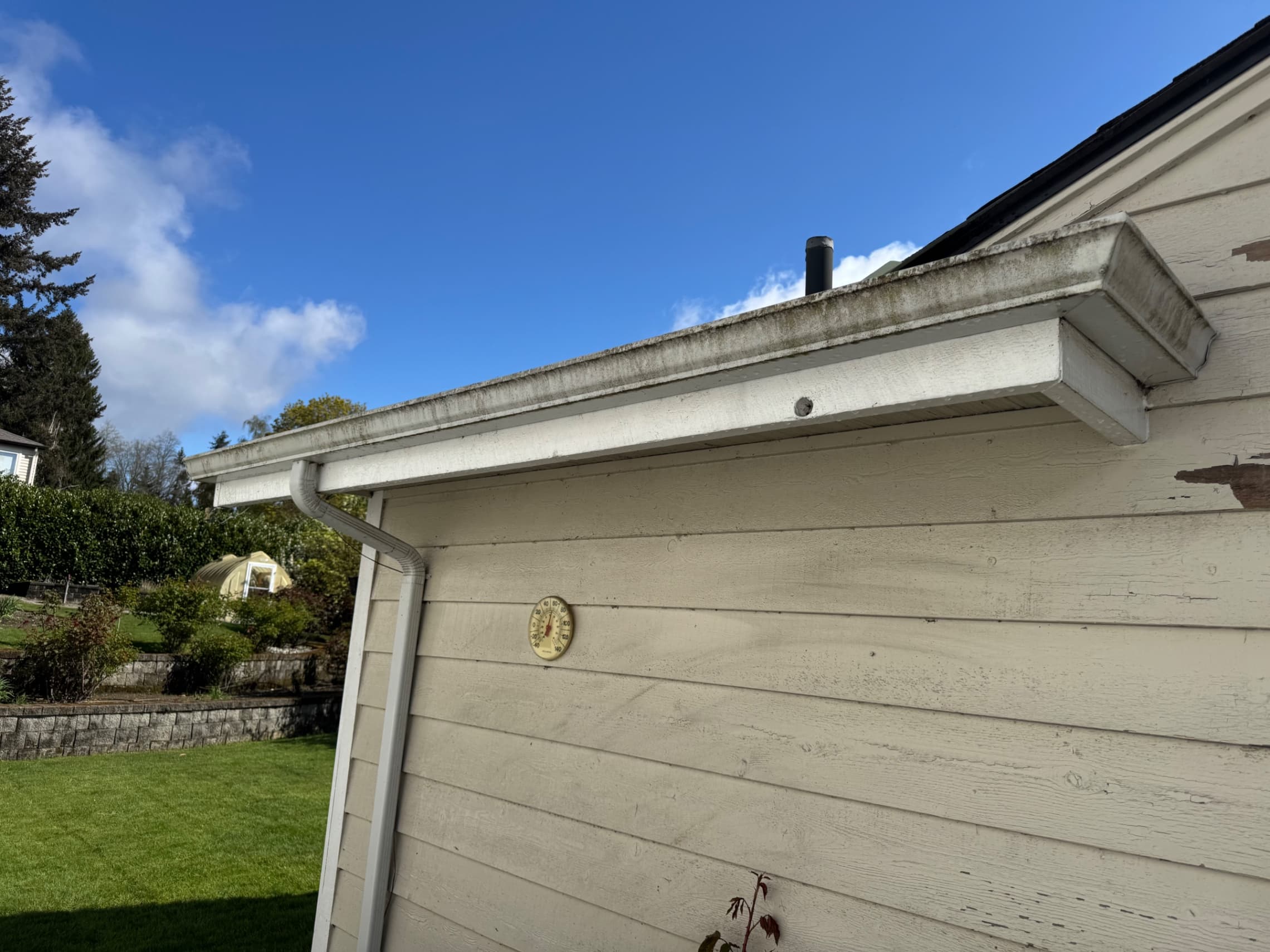 Before - Gutter Cleaning & Debris Removal