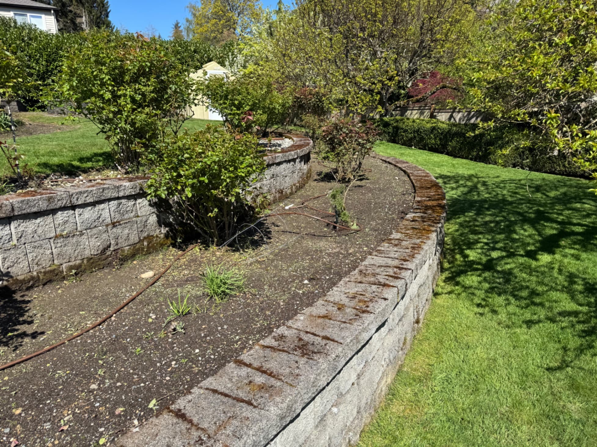 Stone Wall & Paver Cleaning — Before - Stone Wall & Paver Cleaning in King County WA — before