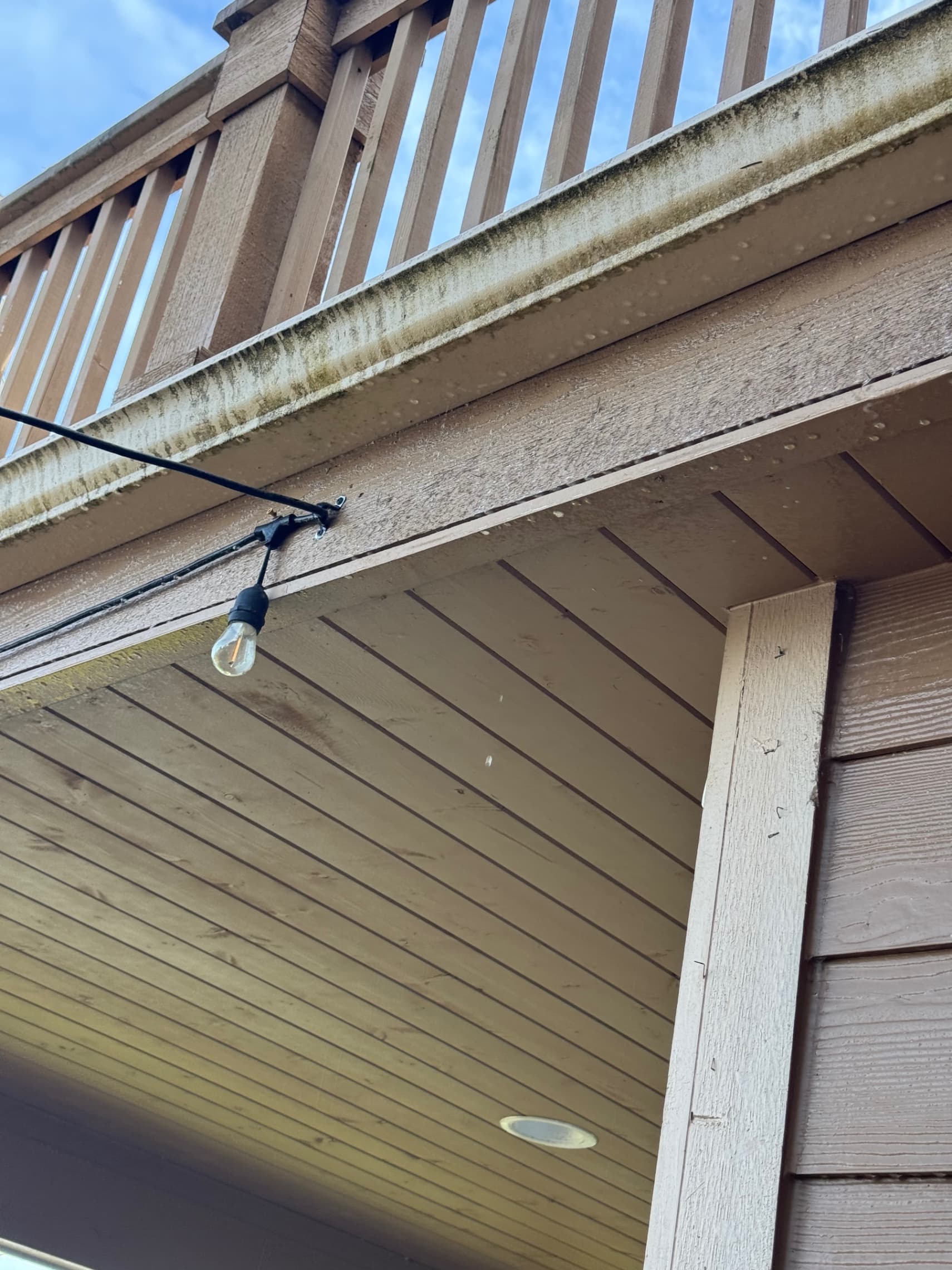 Before - Gutter Cleaning & Debris Removal